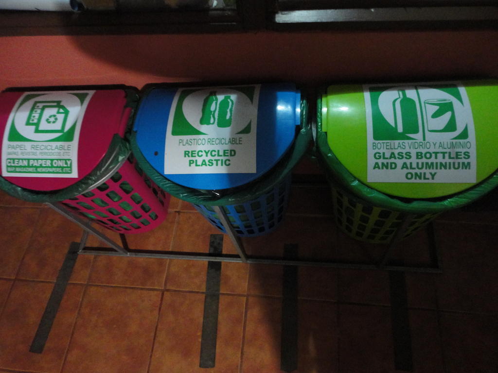 Cabinas Eddy B&B Monteverde Ngoại thất bức ảnh