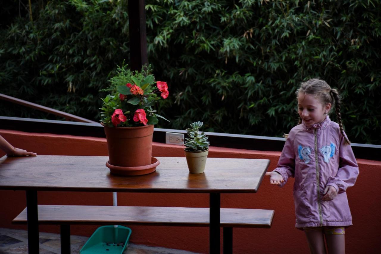 Cabinas Eddy B&B Monteverde Ngoại thất bức ảnh