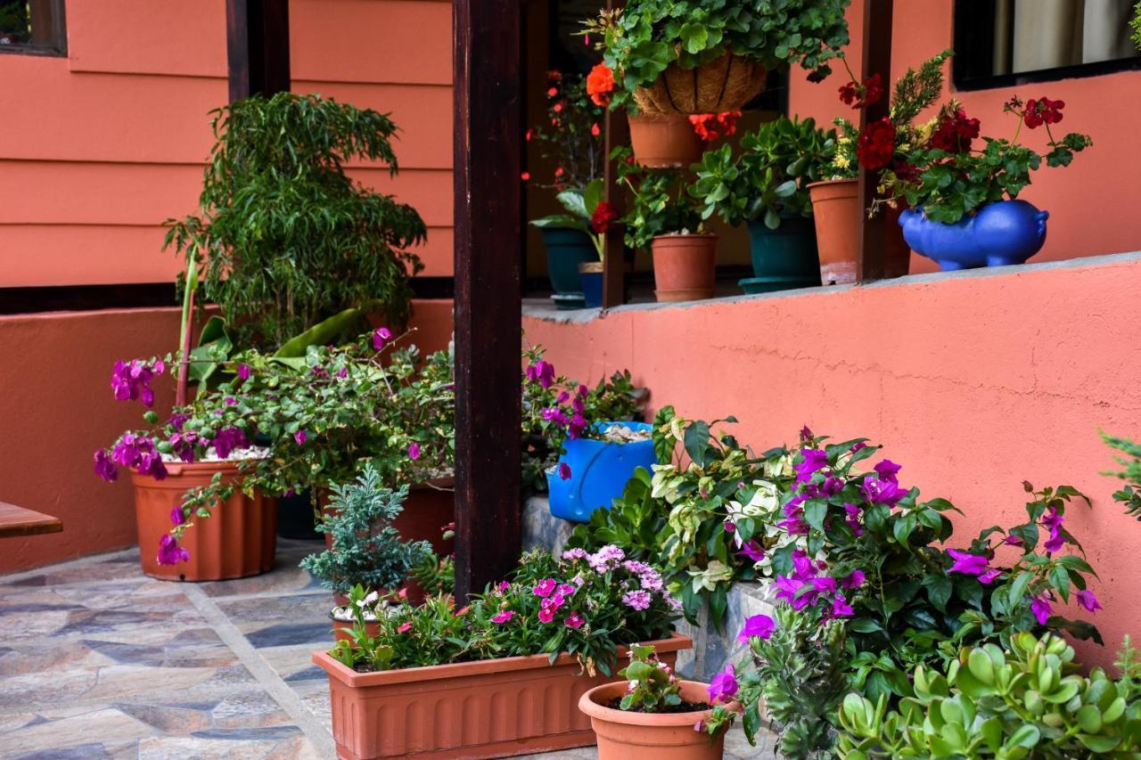 Cabinas Eddy B&B Monteverde Ngoại thất bức ảnh